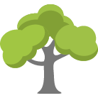Olympia Tree Removal