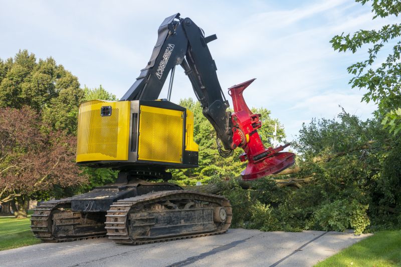 Tree Removal Equipment in Use